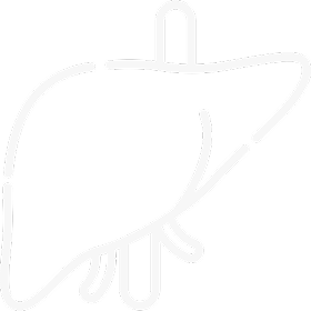 liver-ic-3.png