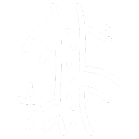 bright-ic-2.png