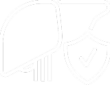 liver-ic-6.png