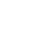 icon-brain.png