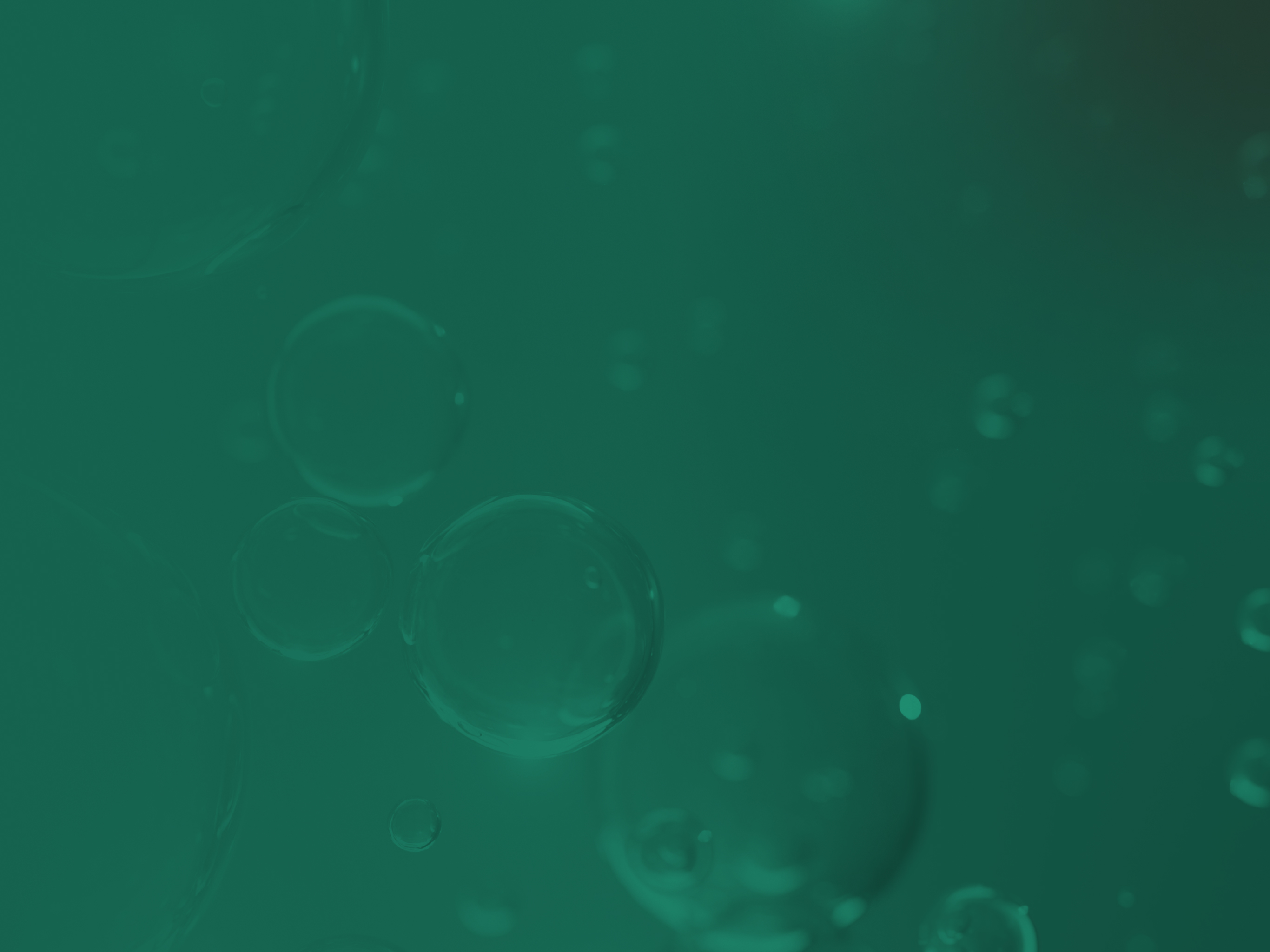 liver-4.jpg