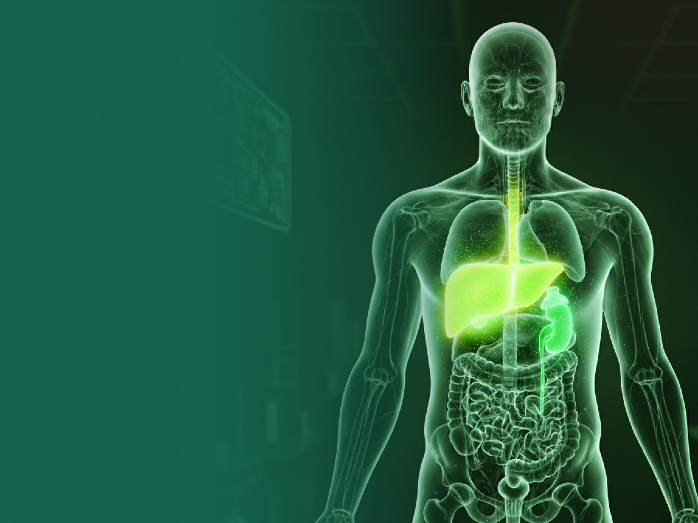 liver-3.jpg