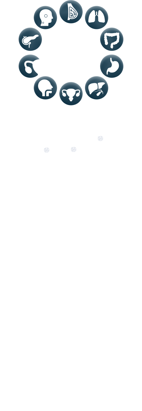 Group-01-test.png