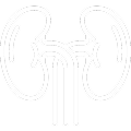 oligo-icon-4.png